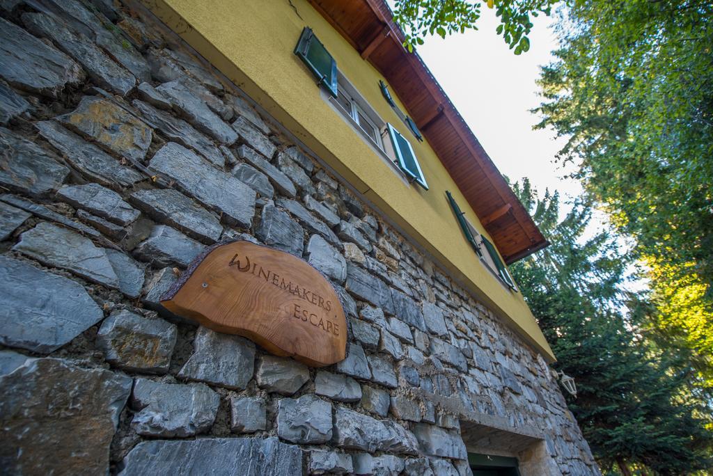 Winemakers Escape Gleisdorf Exterior foto